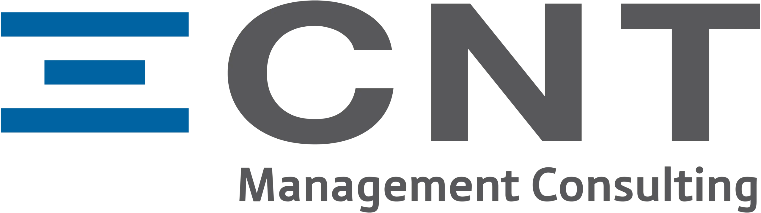 CNT_Management_Consulting_Logo